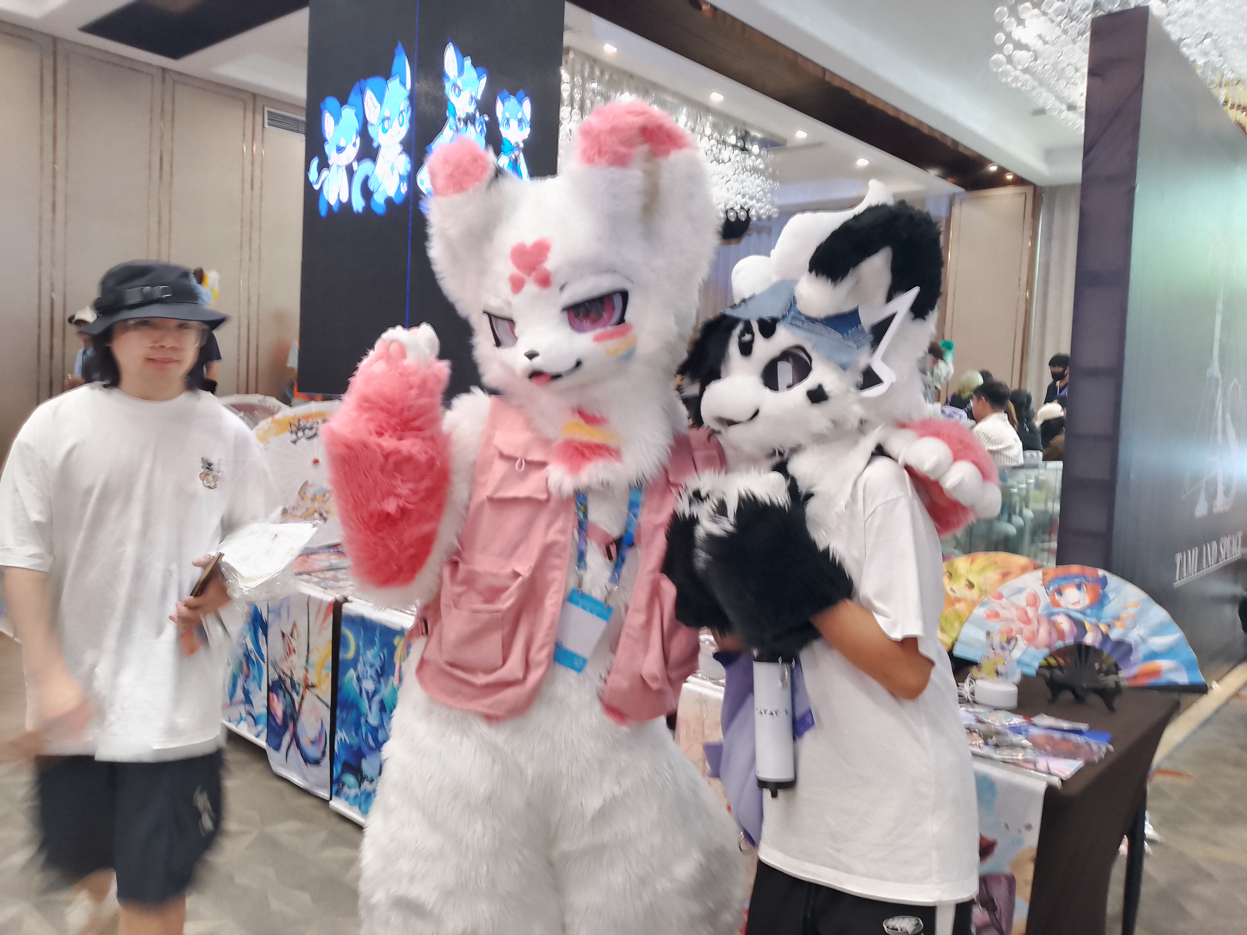 图片19