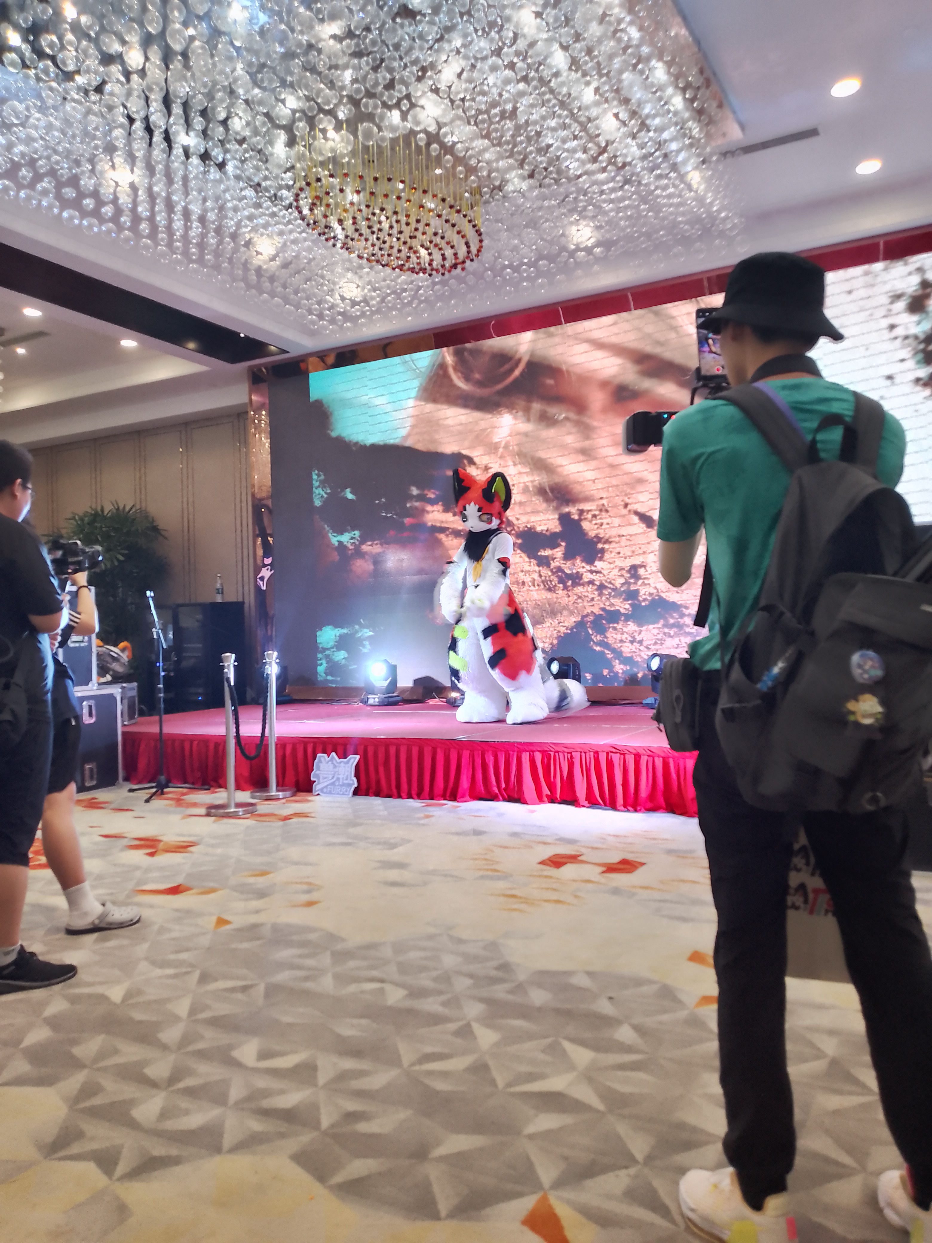 图片30