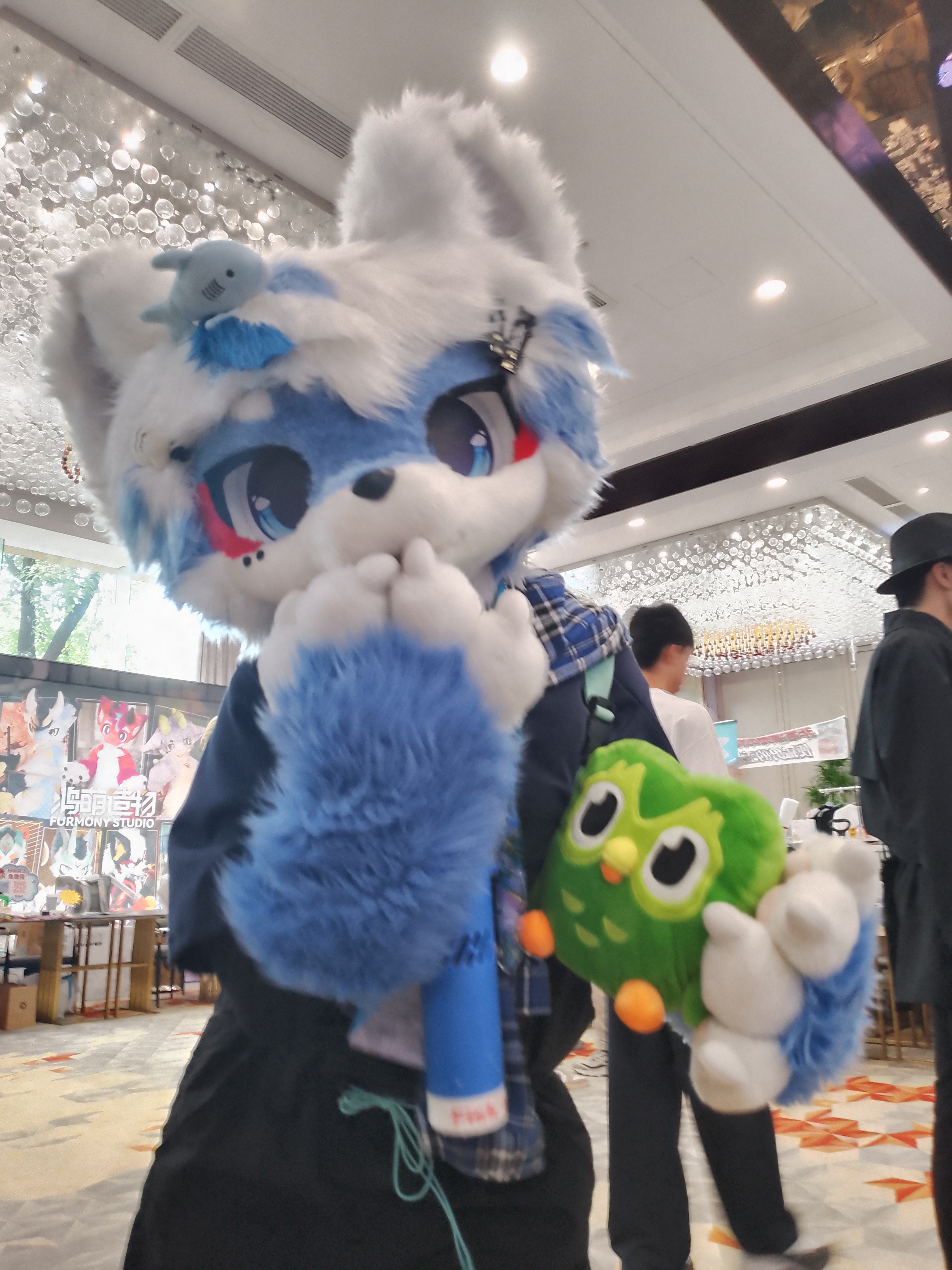 图片33