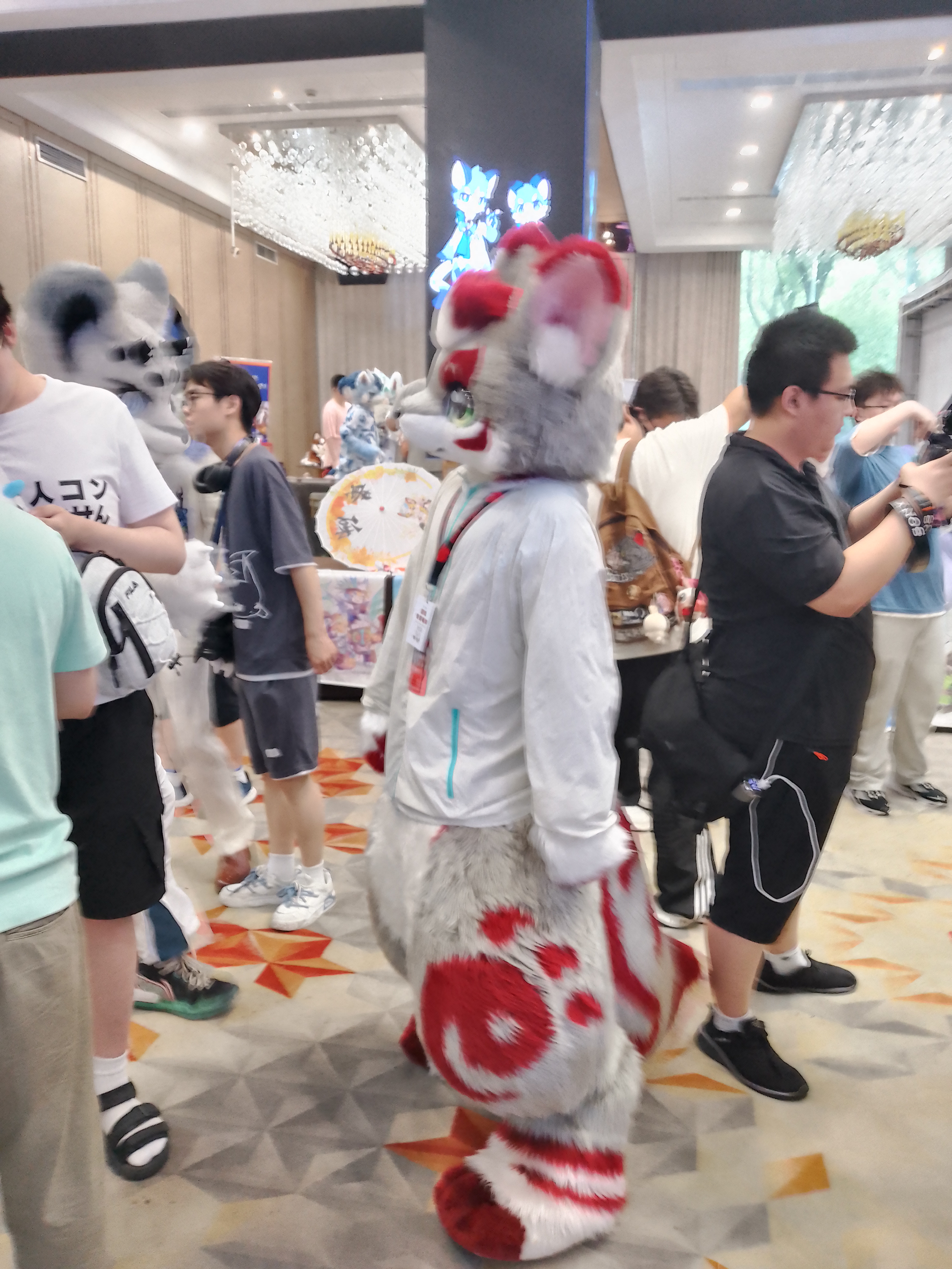 图片36