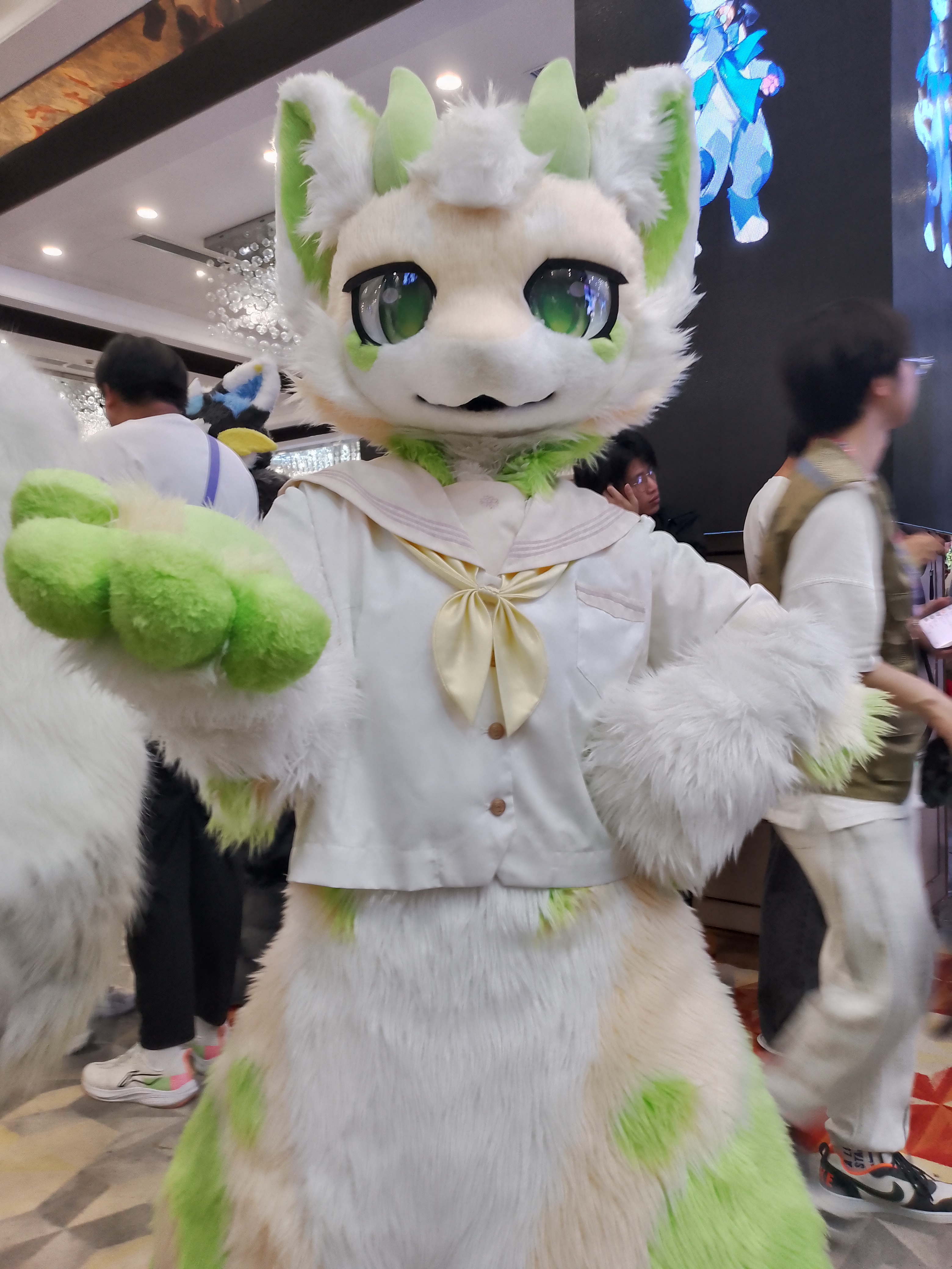 图片40